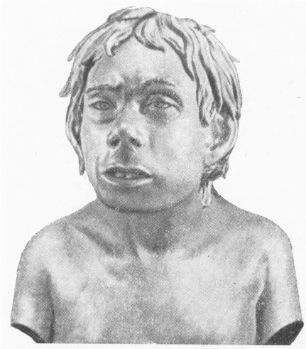 Head of a Neanderthal Boy from Teshiktash Cave Head of a Neanderthal Boy from Teshiktash Cave